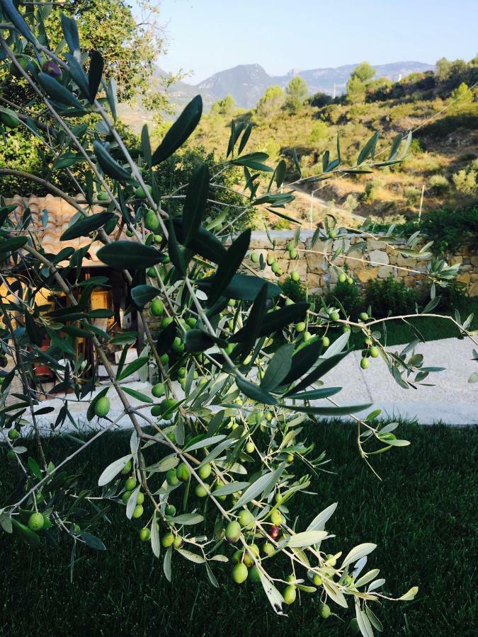B&B Normanna Dolceacqua Dış mekan fotoğraf